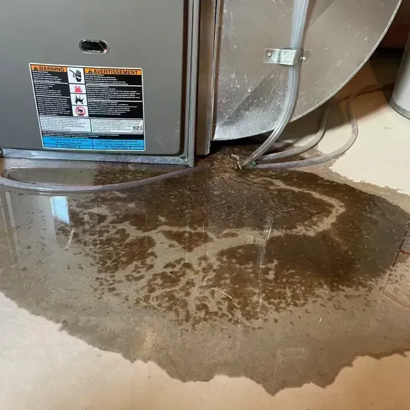 Appliance Leak Cleanup in Bellevue, IL